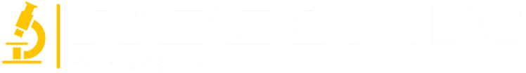 Recon lab Intel